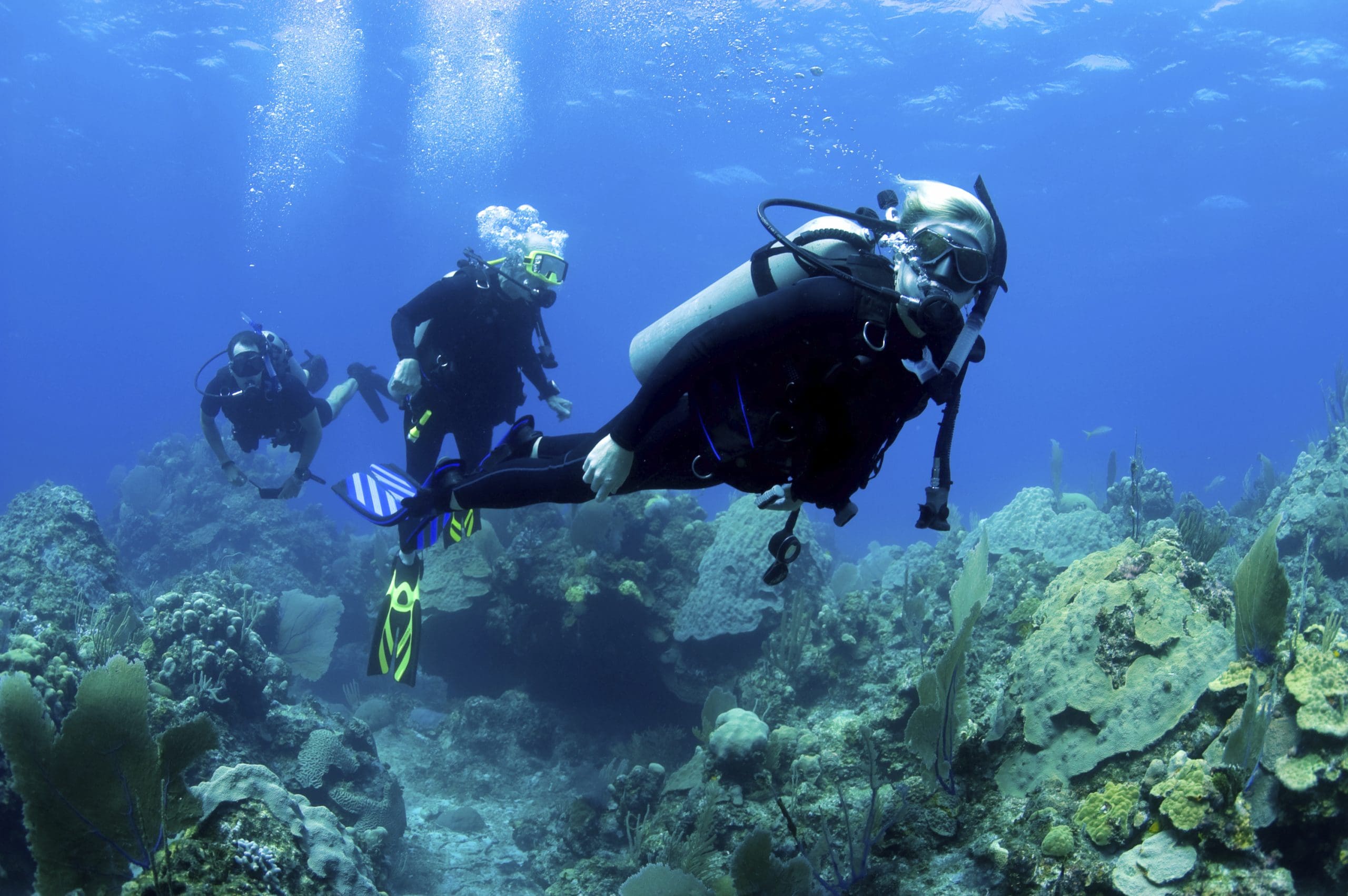 Single Tank Dive — Certified Divers