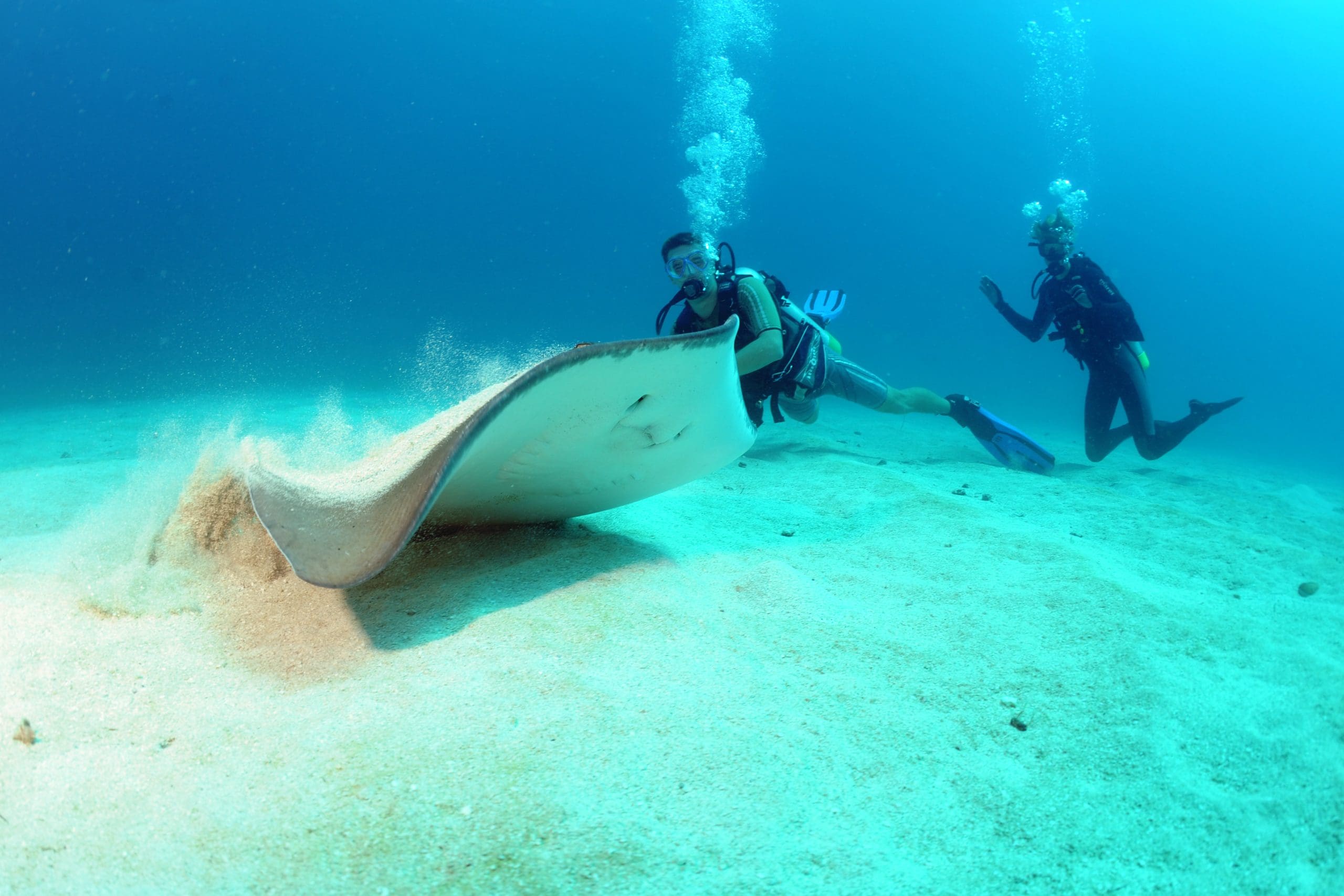 St. Maarten scuba diving